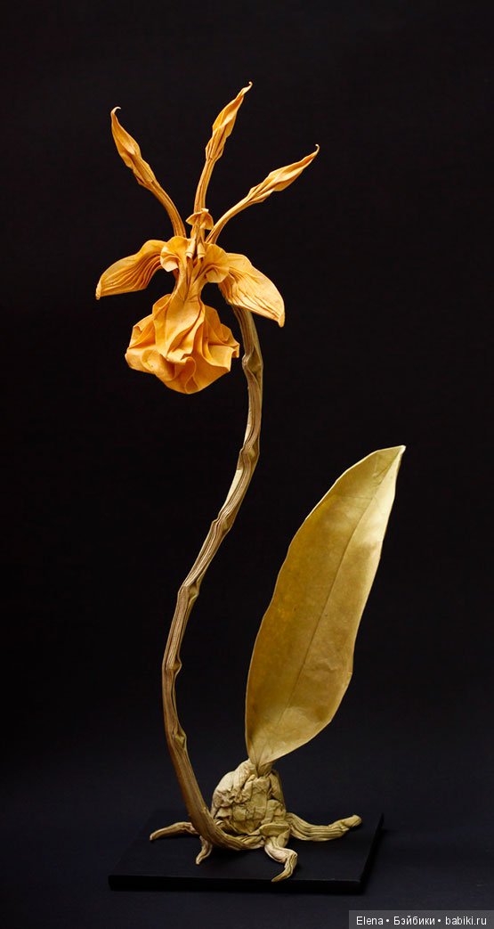 Nguyen Hung Cuong – скульптуры из бумаги