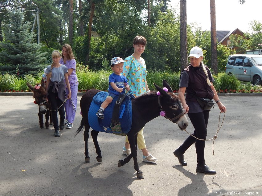 А ослики тоже кони — Интересное обо всем: поздравления