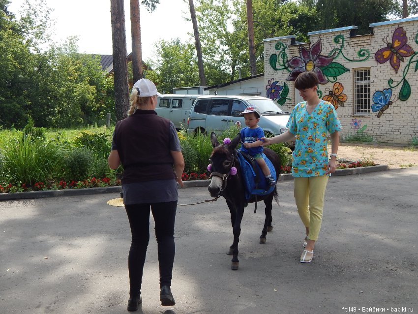 А ослики тоже кони — Интересное обо всем: поздравления