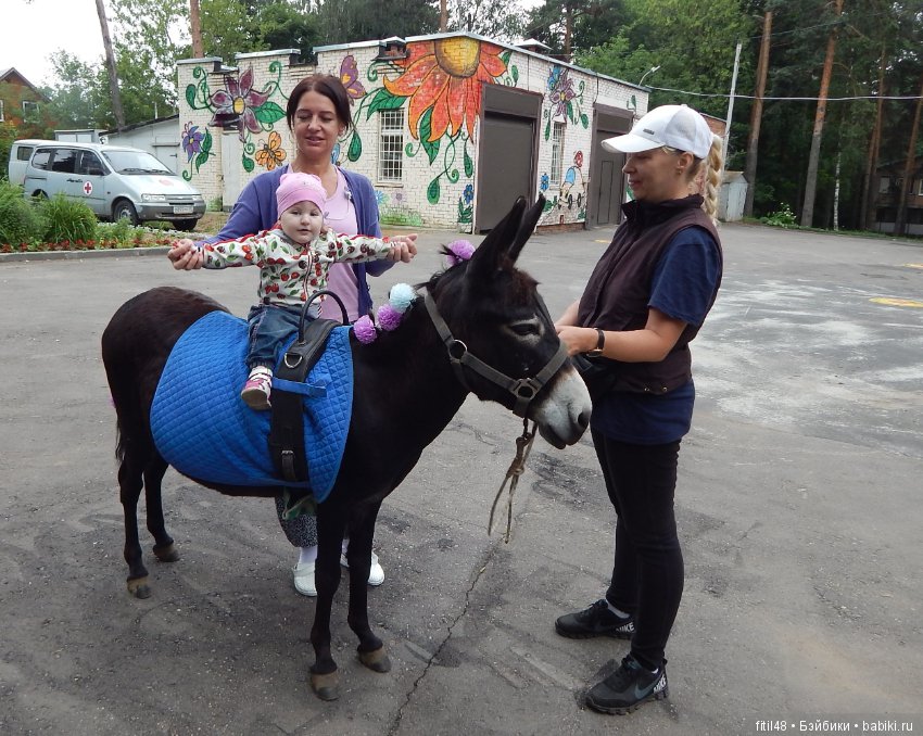 А ослики тоже кони — Интересное обо всем: поздравления