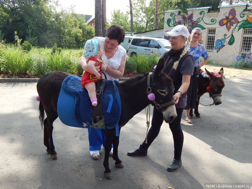 А ослики тоже кони — Интересное обо всем: поздравления
