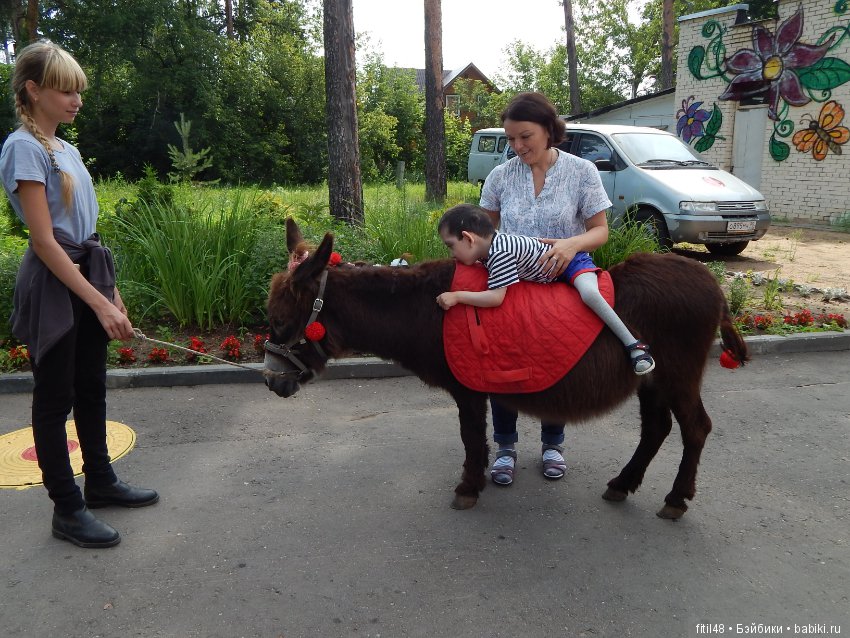 А ослики тоже кони — Интересное обо всем: поздравления