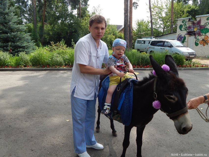 А ослики тоже кони — Интересное обо всем: поздравления