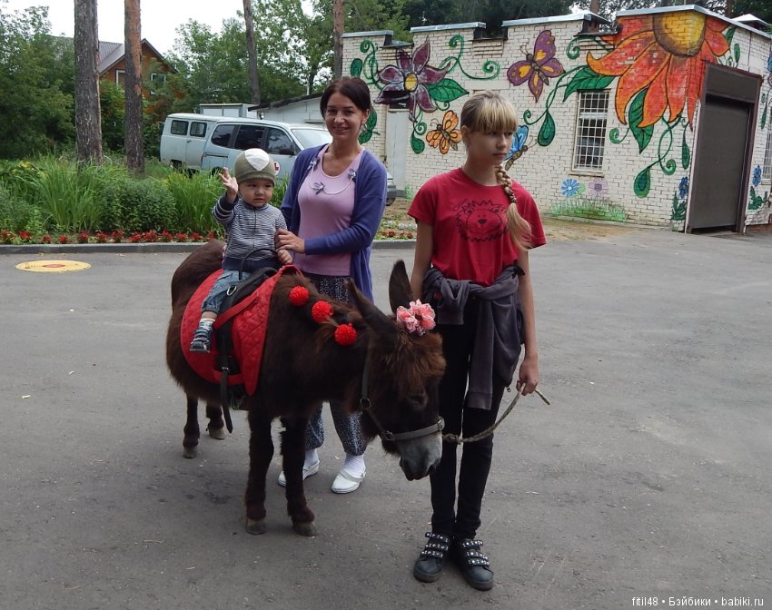 А ослики тоже кони — Интересное обо всем: поздравления