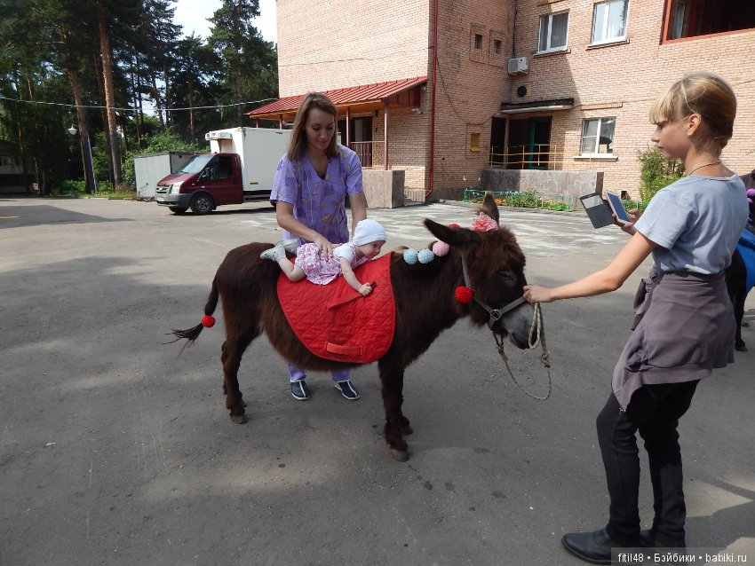 А ослики тоже кони — Интересное обо всем: поздравления