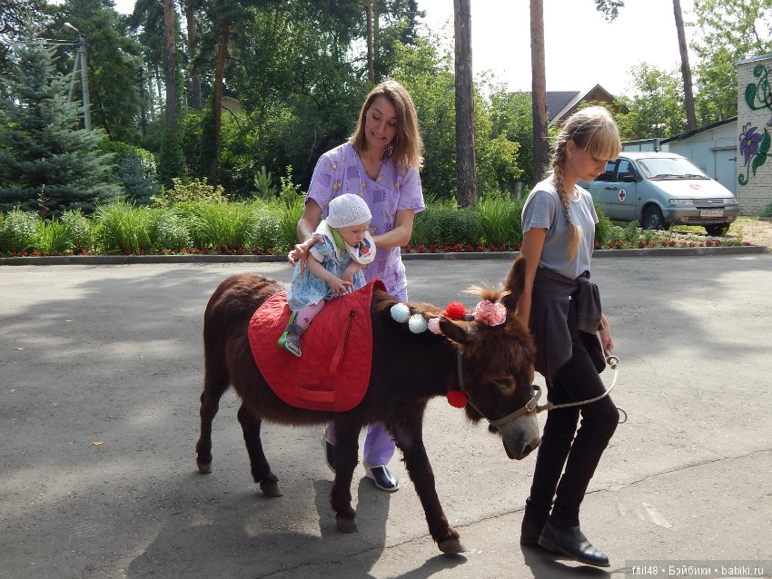 А ослики тоже кони — Интересное обо всем: поздравления