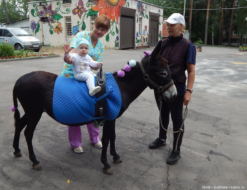 А ослики тоже кони — Интересное обо всем: поздравления