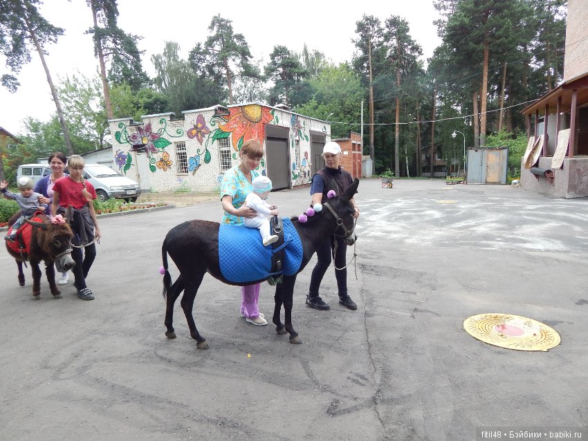 А ослики тоже кони — Интересное обо всем: поздравления