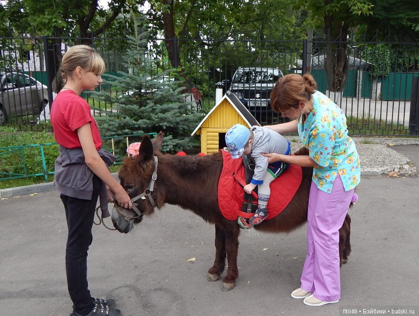 А ослики тоже кони — Интересное обо всем: поздравления