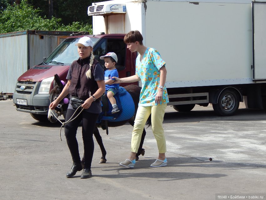 А ослики тоже кони — Интересное обо всем: поздравления