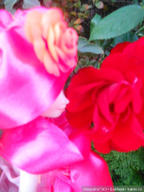 Королева роз — Замена глаз и ресниц кукле: ремонт механизма