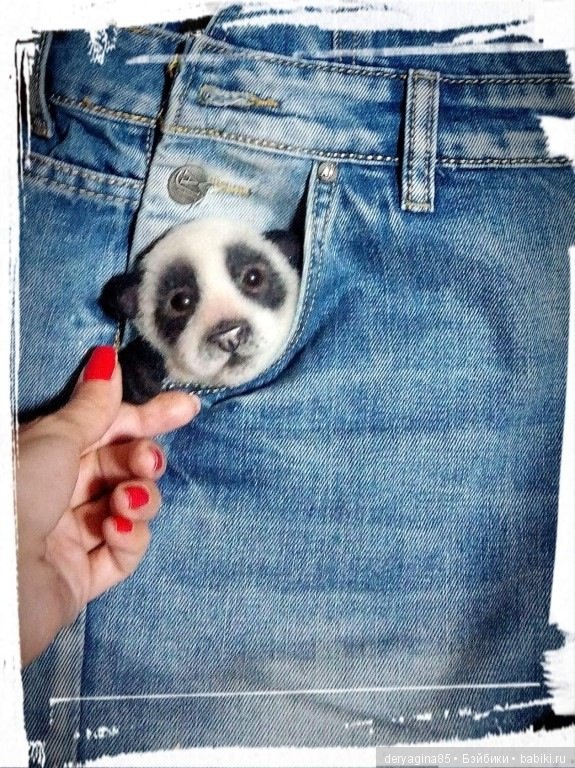 Брошь Панда — Валяные игрушки из шерсти: сухое валяние (фото 3)