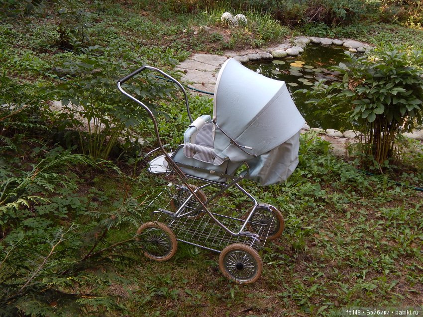 Растет моя коллекция — Интересное обо всем: поздравления