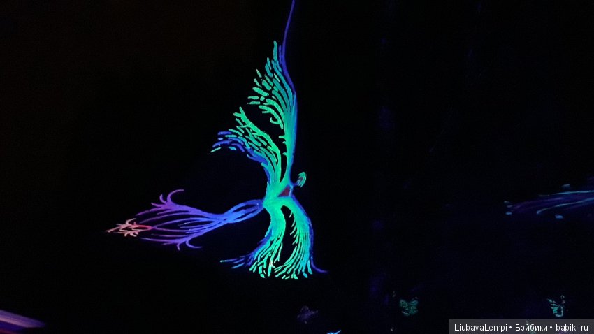 Девчонки,айда погуляем (2) Город света (фото 5)