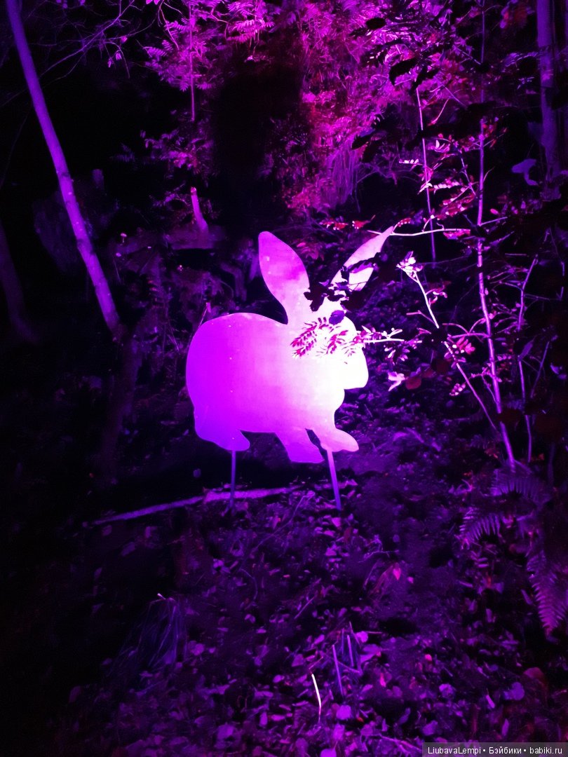 Девчонки,айда погуляем (2) Город света