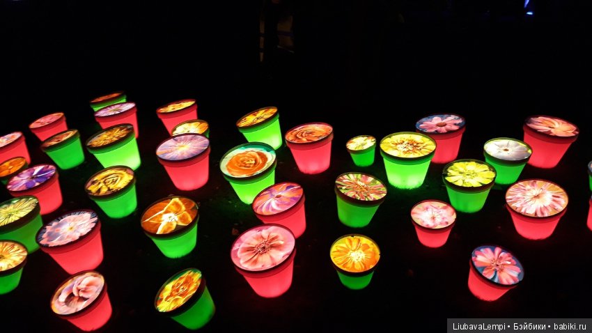 Девчонки,айда погуляем (2) Город света