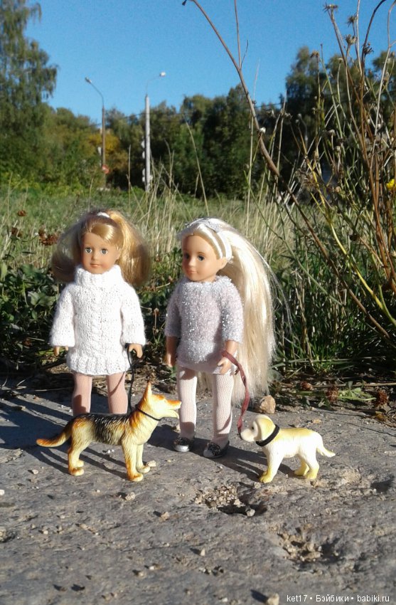 Прогулка с собаками — American Girl Mini: Куклы 16 см (фото 10)