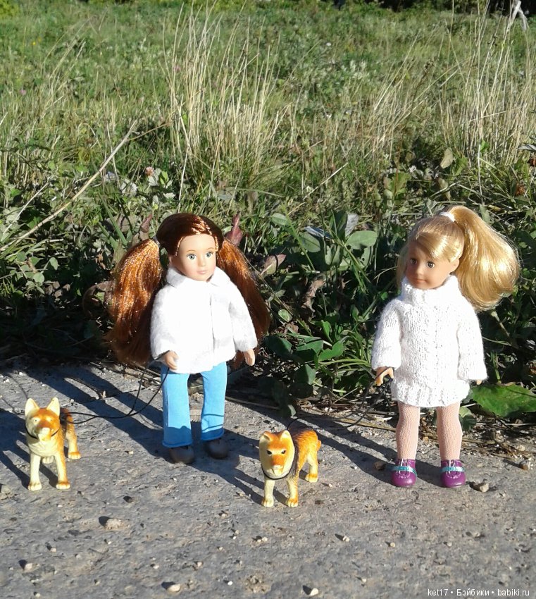 Прогулка с собаками — American Girl Mini: Куклы 16 см