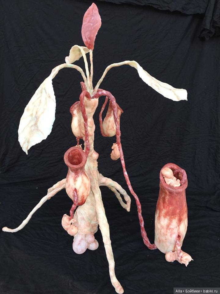 Гибриды из силикона от Laira Maganuco