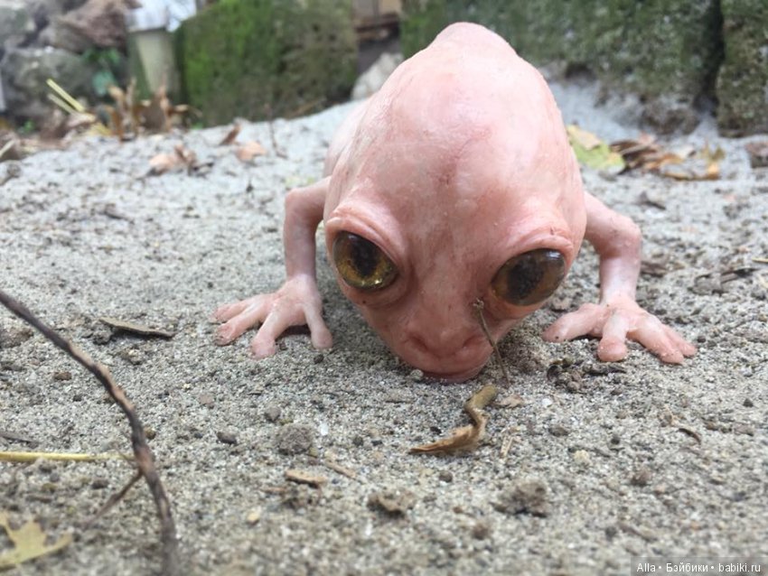 Гибриды из силикона от Laira Maganuco