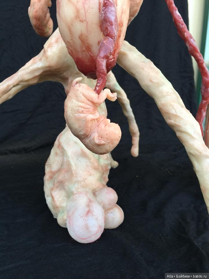 Гибриды из силикона от Laira Maganuco