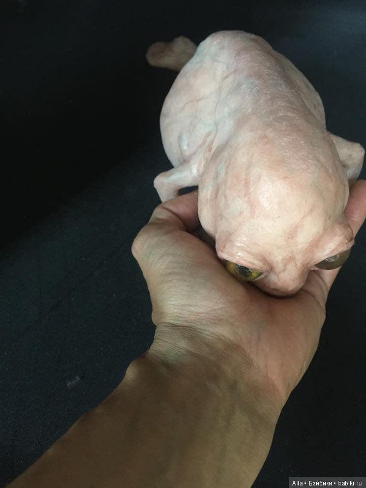 Гибриды из силикона от Laira Maganuco