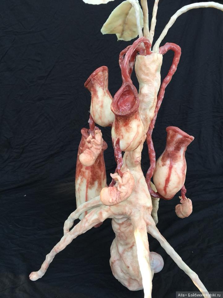 Гибриды из силикона от Laira Maganuco