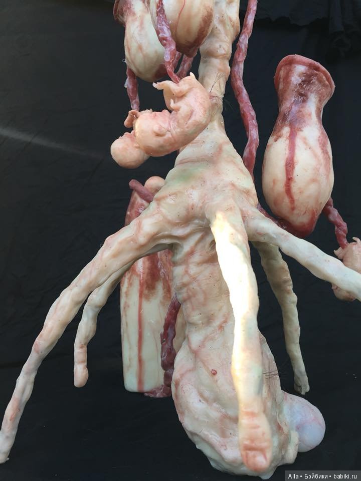 Гибриды из силикона от Laira Maganuco