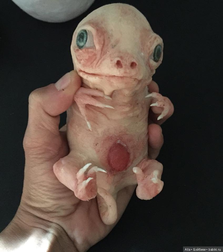 Гибриды из силикона от Laira Maganuco