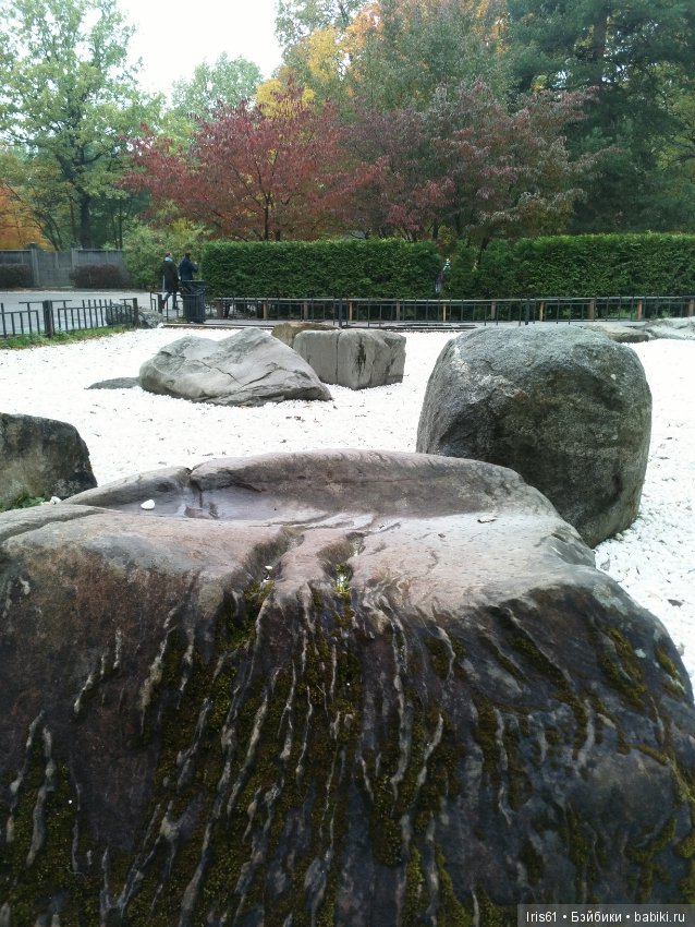 Очей очарованье — Туризм и путешествия: фотоотчеты из поездок (фото 3)