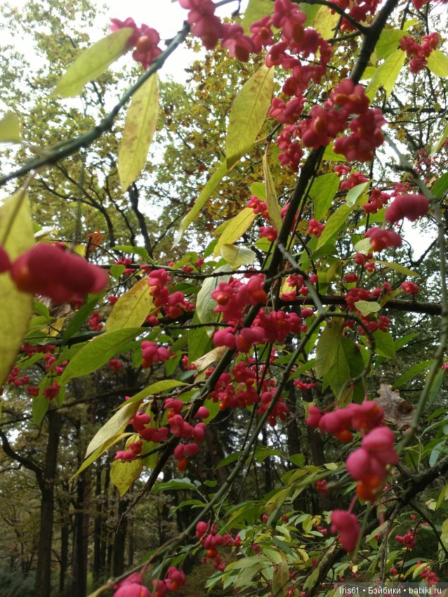Очей очарованье — Туризм и путешествия: фотоотчеты из поездок