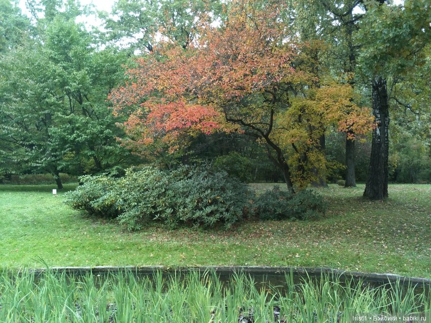 Очей очарованье — Туризм и путешествия: фотоотчеты из поездок