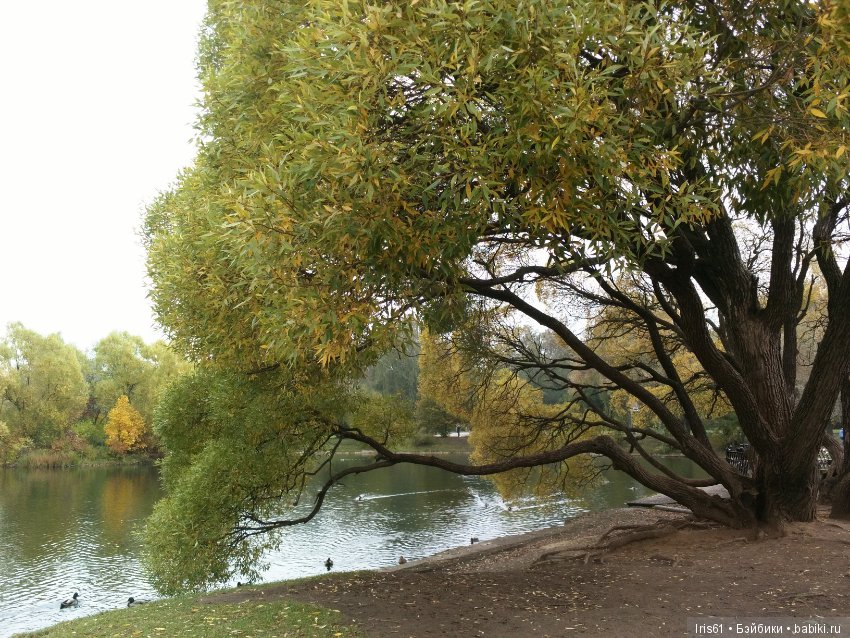 Очей очарованье — Туризм и путешествия: фотоотчеты из поездок (фото 2)