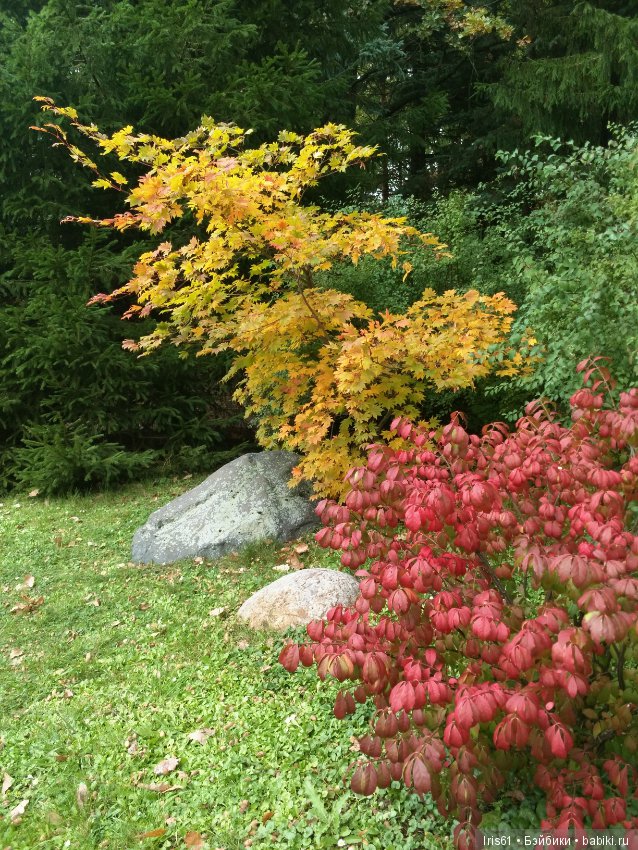 Очей очарованье — Туризм и путешествия: фотоотчеты из поездок