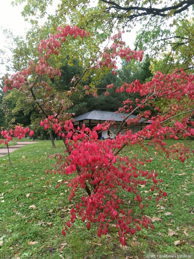 Очей очарованье — Туризм и путешествия: фотоотчеты из поездок (фото 9)