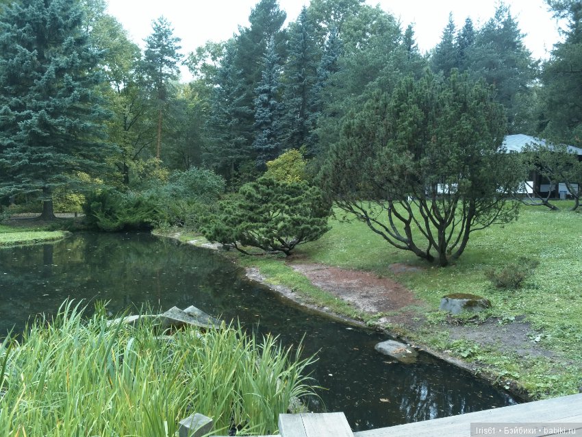 Очей очарованье — Туризм и путешествия: фотоотчеты из поездок