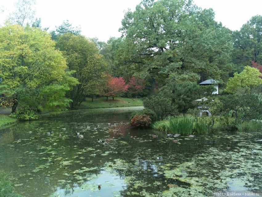 Очей очарованье — Туризм и путешествия: фотоотчеты из поездок (фото 5)