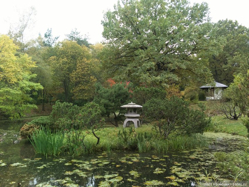 Очей очарованье — Туризм и путешествия: фотоотчеты из поездок (фото 7)