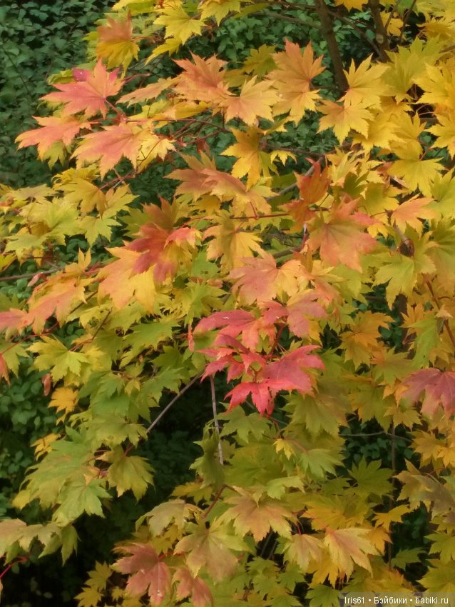 Очей очарованье — Туризм и путешествия: фотоотчеты из поездок
