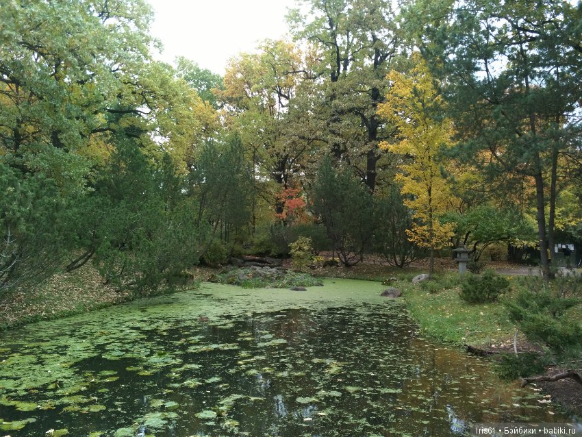 Очей очарованье — Туризм и путешествия: фотоотчеты из поездок (фото 6)