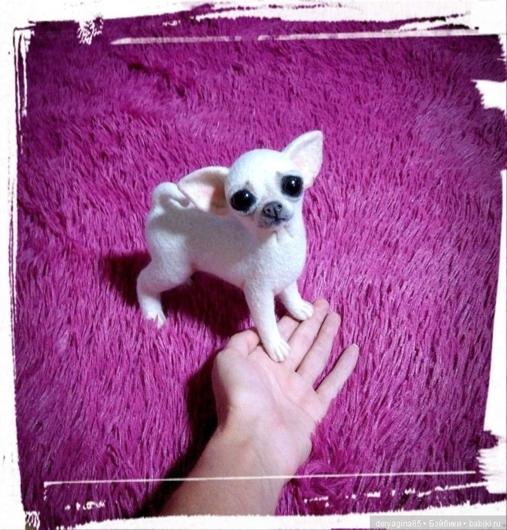 Чихуахуа — Валяные игрушки из шерсти: сухое валяние