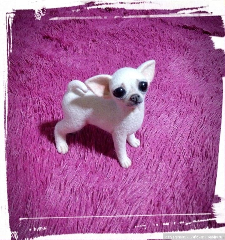 Чихуахуа — Валяные игрушки из шерсти: сухое валяние (фото 5)