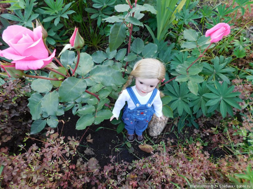 Мои новые любимочки от Эффенби-Тоннер. 2. Пенни Penny&Friends и Энни Анн Эстель