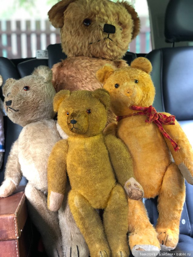 Коллекция мишек — Домашние коллекции кукол: фото собраний (фото 3)