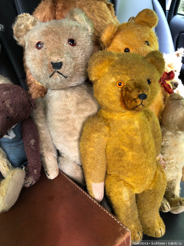 Коллекция мишек — Домашние коллекции кукол: фото собраний (фото 2)