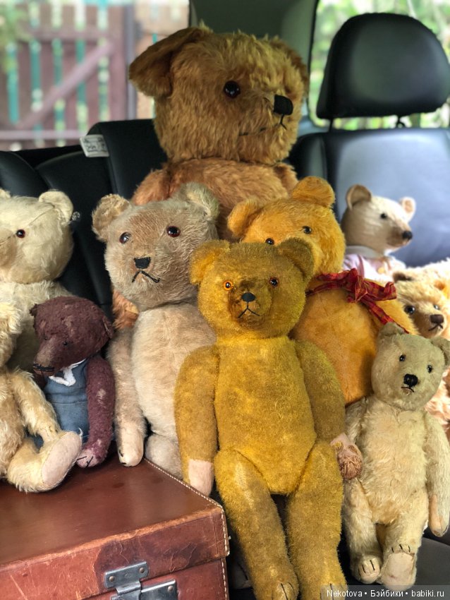 Коллекция мишек — Домашние коллекции кукол: фото собраний (фото 4)