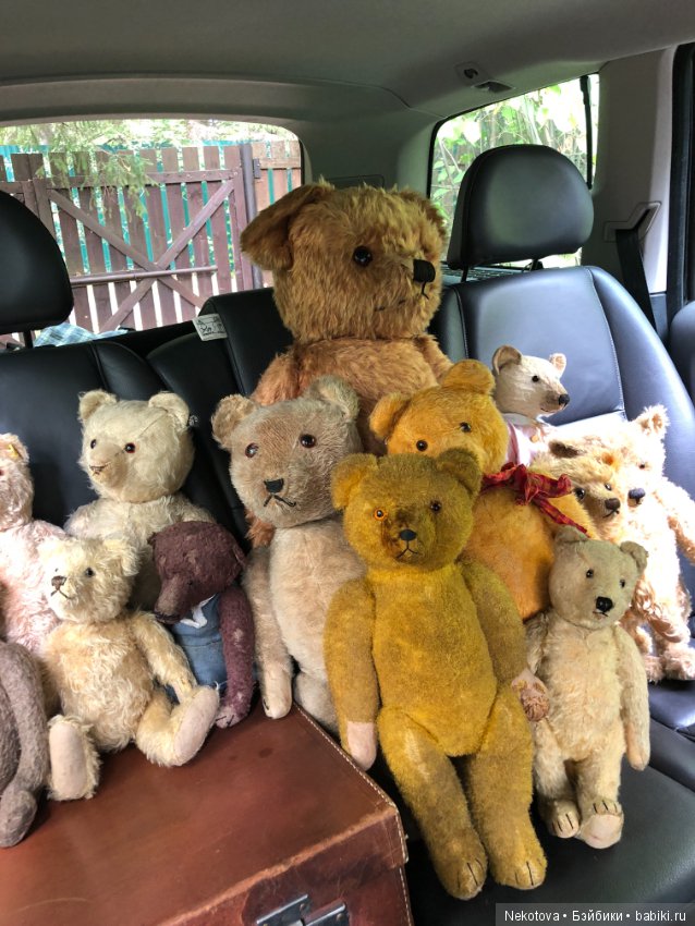 Коллекция мишек — Домашние коллекции кукол: фото собраний