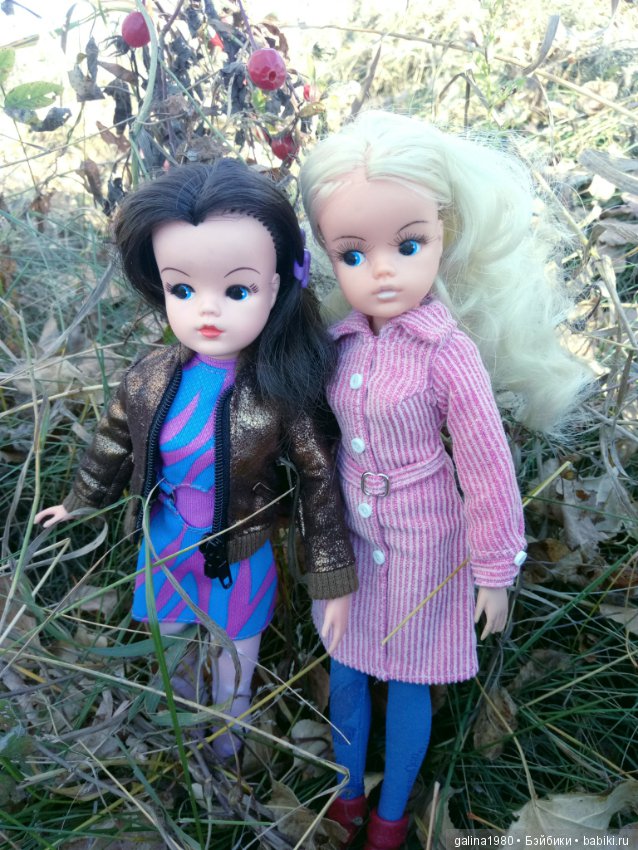 Осень с Синди — Куклы Sindy (Синди) и Tammy (Тамми): винтаж (фото 6)