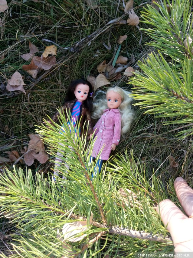 Осень с Синди — Куклы Sindy (Синди) и Tammy (Тамми): винтаж