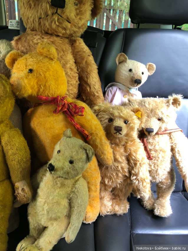Коллекция мишек — Домашние коллекции кукол: фото собраний (фото 5)